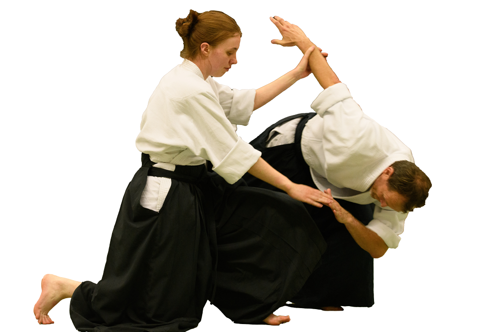 Aikido training Groene Hart krijgskunst